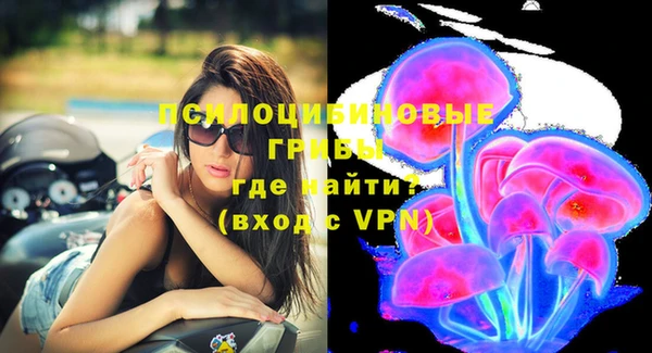 стафф Армянск