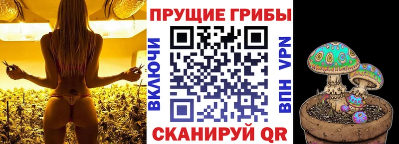 Галлюциногенные грибы мухоморы  Спас-Деменск 